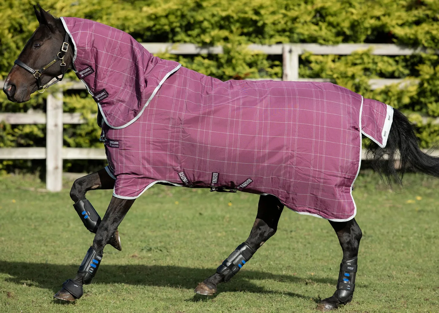 New HORSEWARE ® Ireland Rhino® Plus Heavyweight Blanket with Vari-Layer®