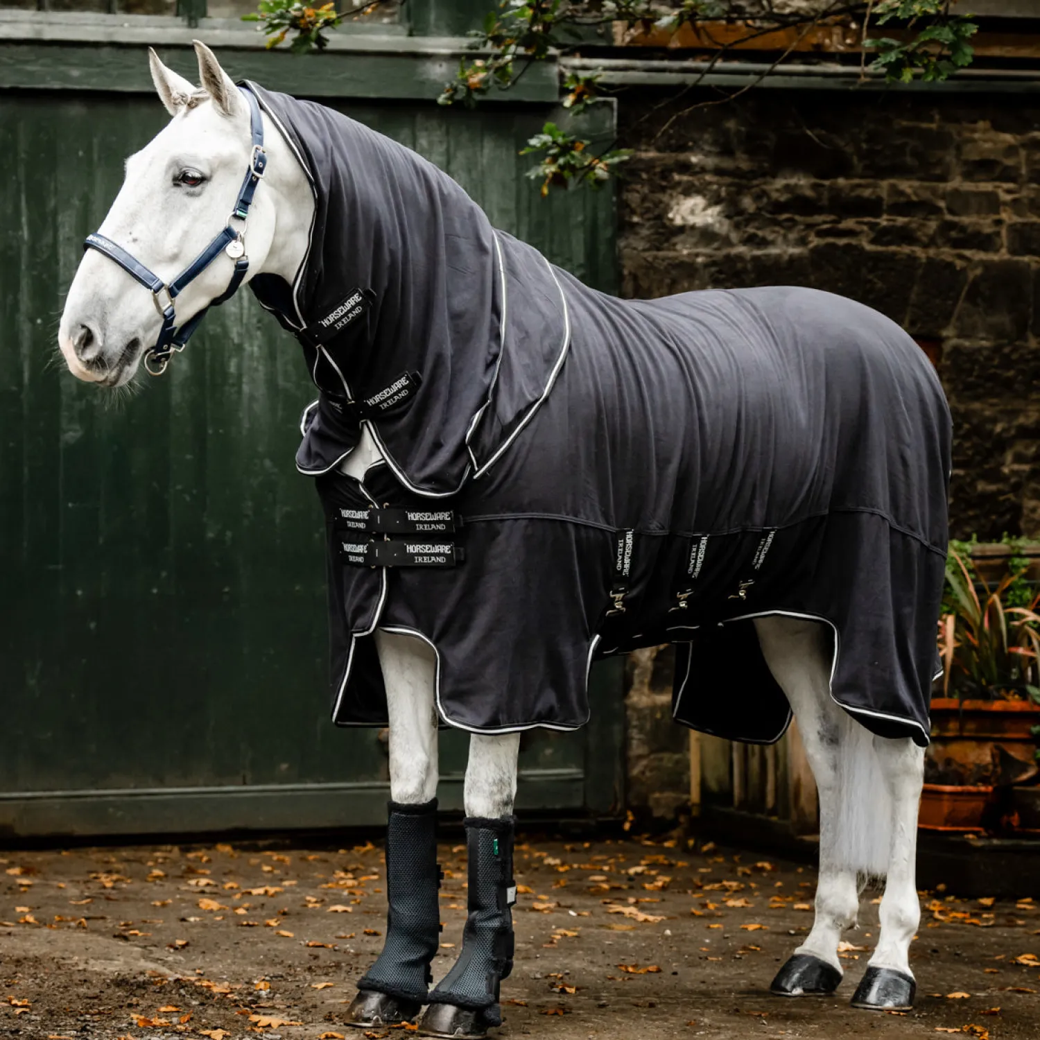 Outlet HORSEWARE ® Ireland Show Ready Rug