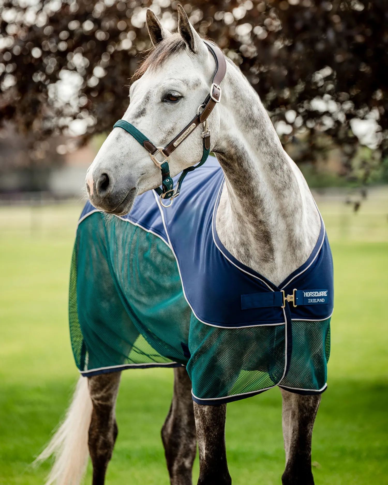 Discount HORSEWARE ® Ireland Signature Sport Cooler Navy/Hunter Green