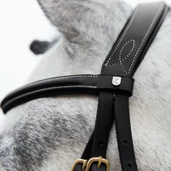 Discount EQUINAVIA Horze Constance Padded Flash Snaffle Bridle