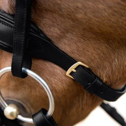 Online EQUINAVIA Horze Lester Snaffle Bridle