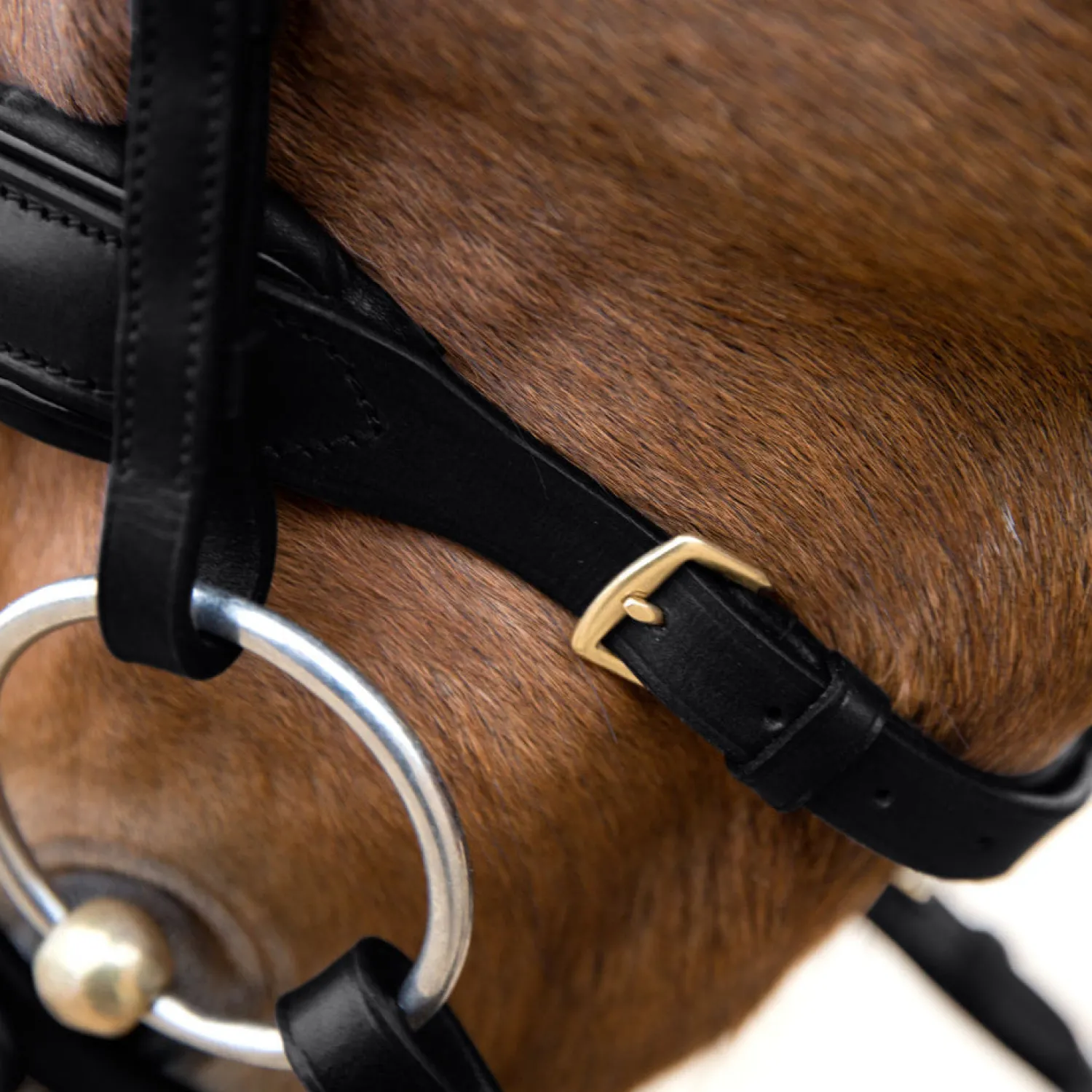 Online EQUINAVIA Horze Lester Snaffle Bridle