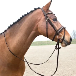 Online EQUINAVIA Horze Lester Snaffle Bridle