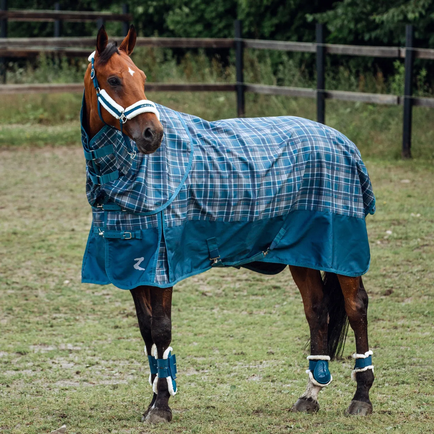 Best EQUINAVIA Horze Nevada 1200D Lightweight Turnout Sheet