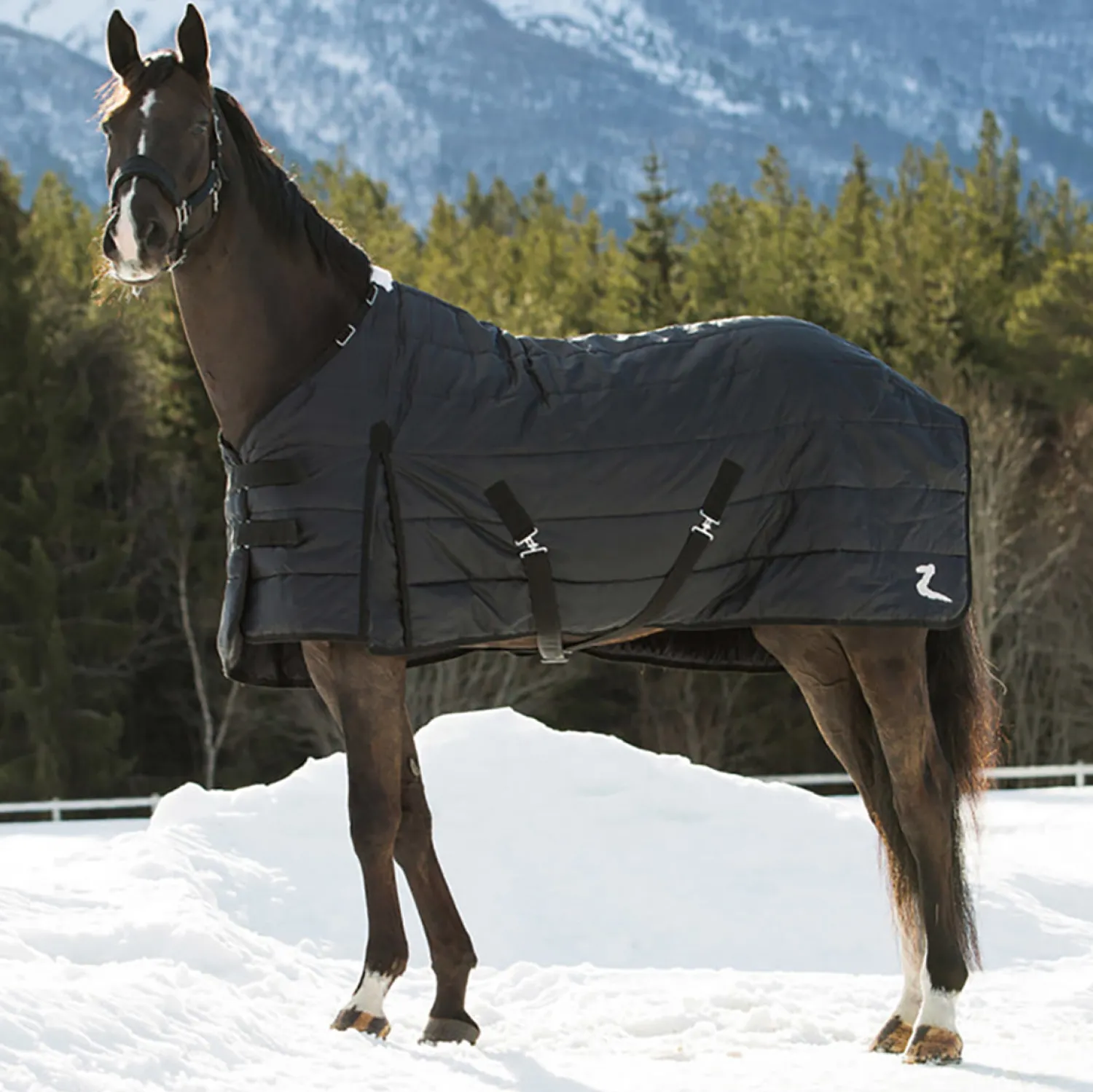 Online EQUINAVIA Horze Nevada Lightweight Stable Blanket Black