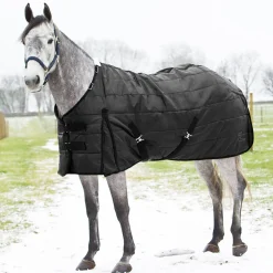 Outlet EQUINAVIA Horze Nevada Medium-Weight Stable Blanket Black