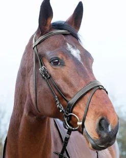 Clearance EQUINAVIA Horze Venice Snaffle Bridle