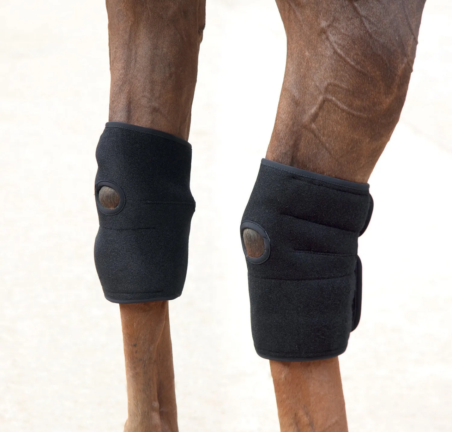 Hot SHIRES EQUESTRIAN Hot/Cold Joint Relief Boots Black