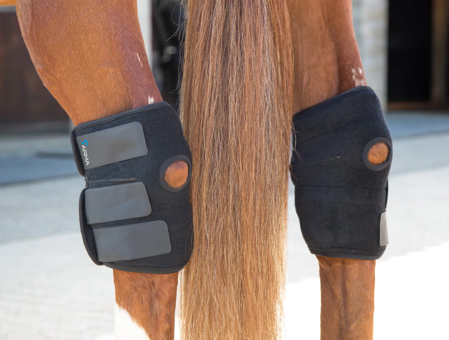 Hot SHIRES EQUESTRIAN Hot/Cold Joint Relief Boots Black