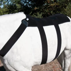 Online MACKINNON Ice Horse® Back Blanket