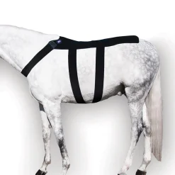 Online MACKINNON Ice Horse® Back Blanket