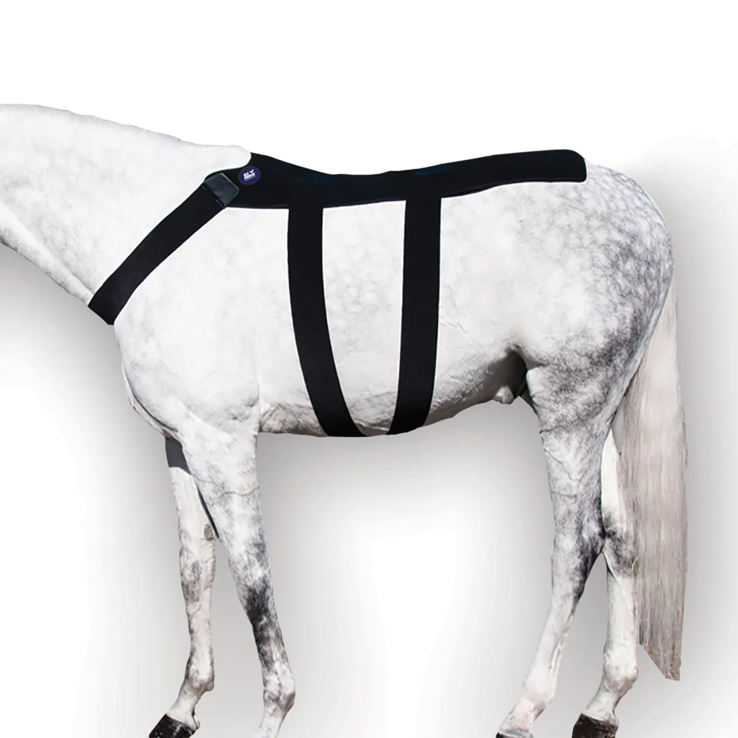 Online MACKINNON Ice Horse® Back Blanket