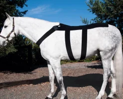Outlet MACKINNON Ice Horse® Pony Back Blanket