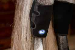 Hot MACKINNON Ice Horse® Pony Hock Wrap Black