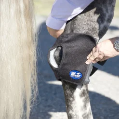 Hot MACKINNON Ice Horse® Pony Hock Wrap Black