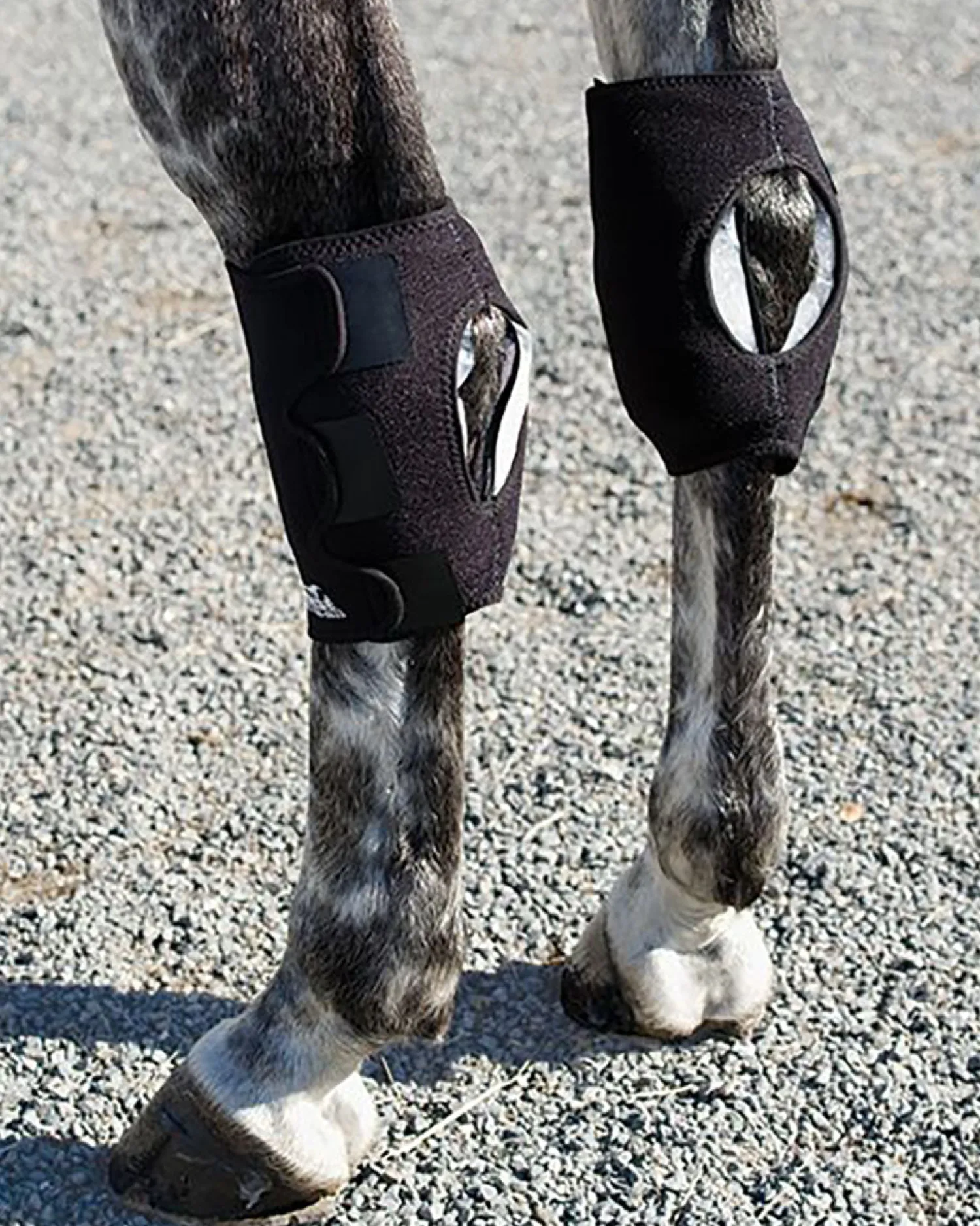 Sale MACKINNON Ice Horse® Pony Hock Wrap – Pair
