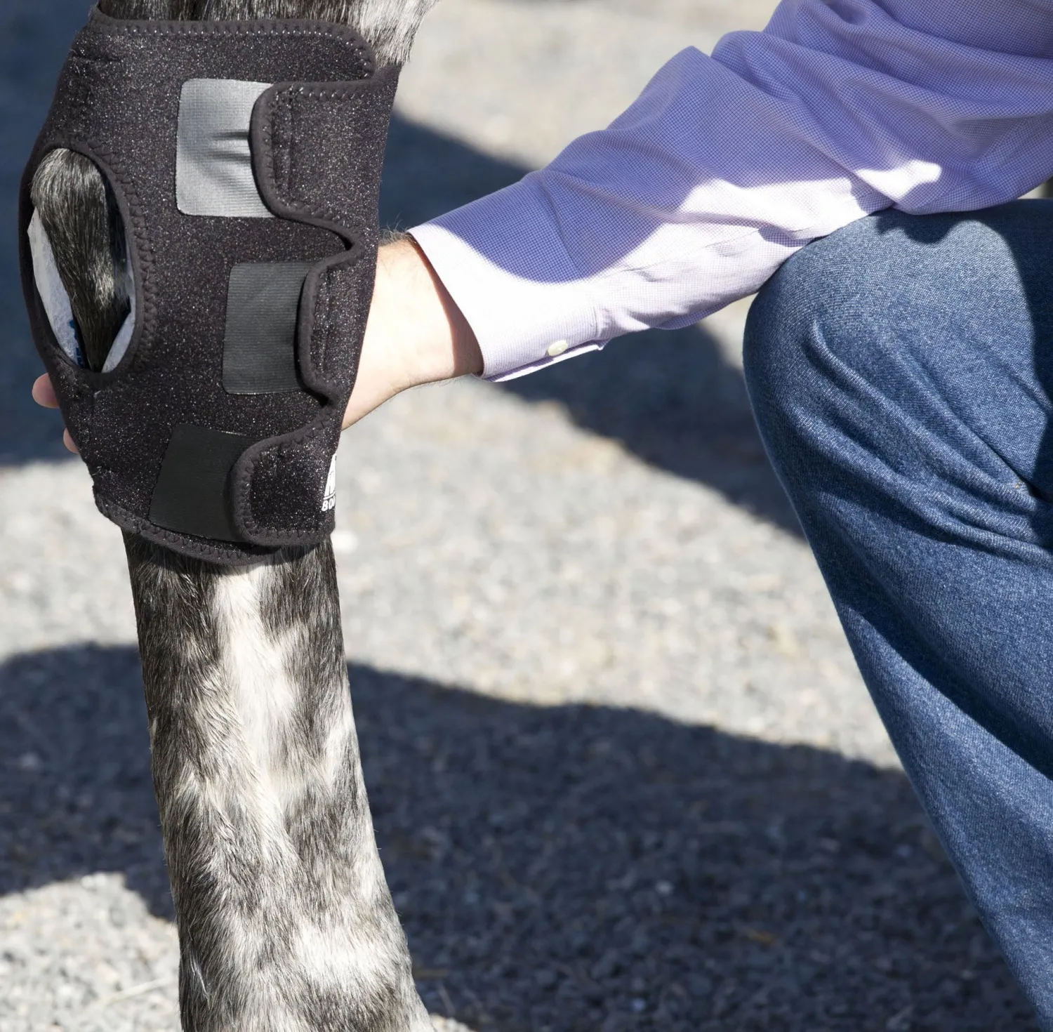 Sale MACKINNON Ice Horse® Pony Hock Wrap – Pair