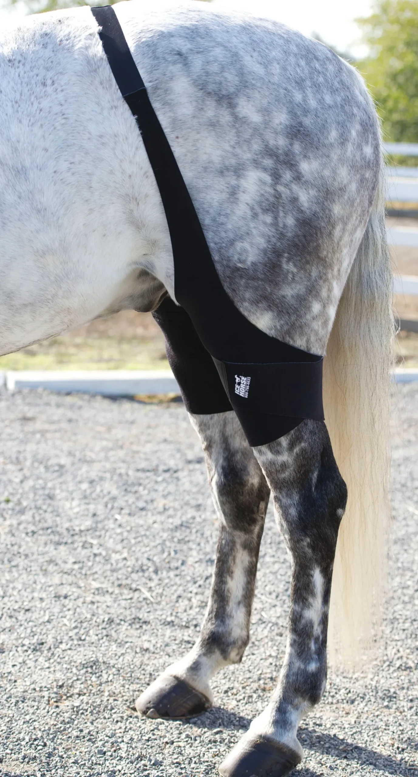 Sale MACKINNON Ice Horse® Stifle Wraps