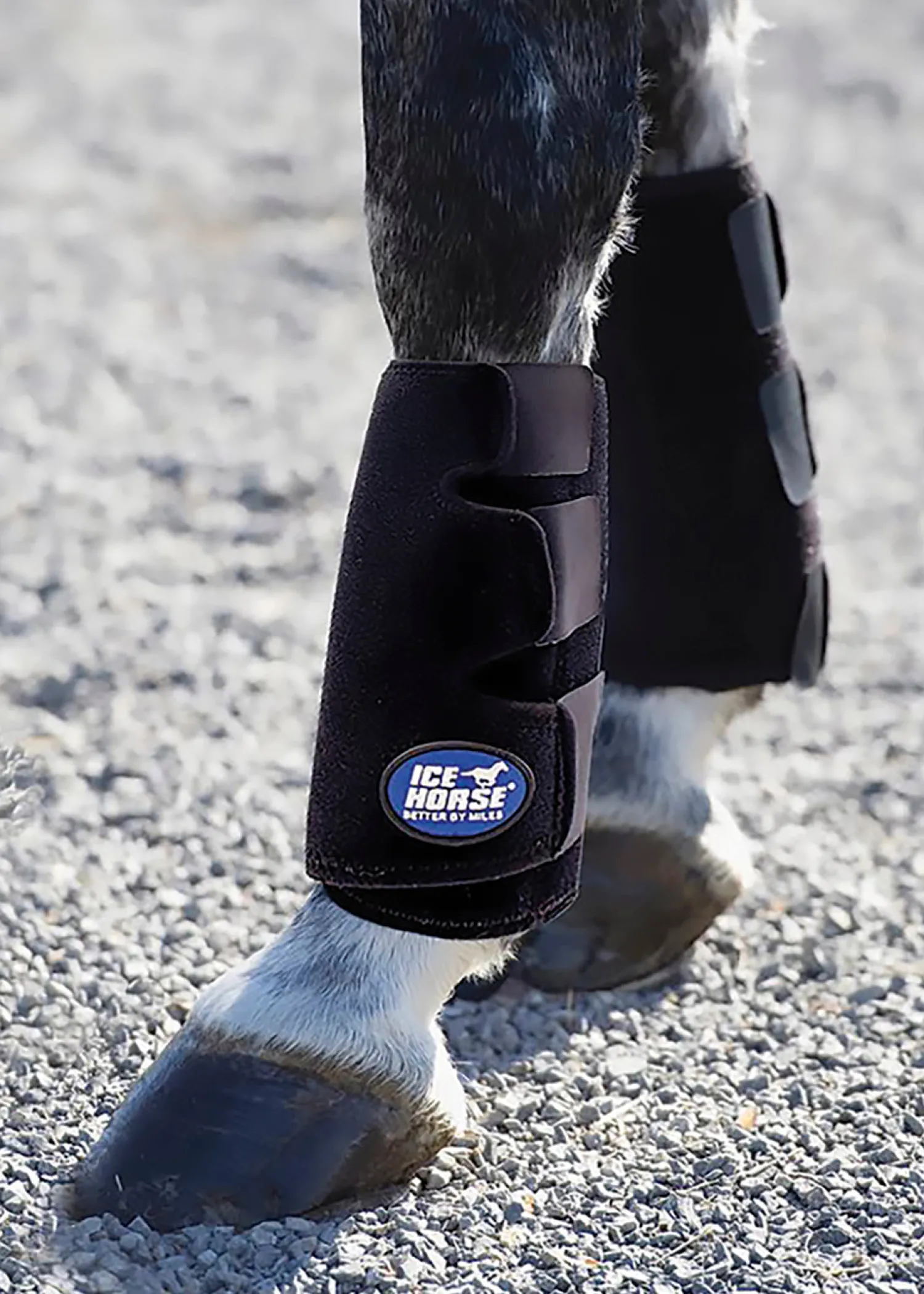 MACKINNON Ice Horse® Tendon Boots