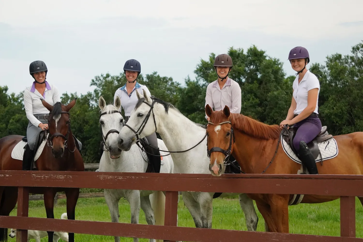 Discount INT RIDING HELMET IRH® Equi-Pro Helmet with Sun Visor