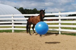 New HORSEMEN S PRIDE Jolly Mega Ball Blue