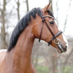Discount PEP-KAVALKADE Kavalkade Florina Bridle Dark Brown Patent