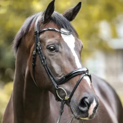Sale PEP-KAVALKADE Kavalkade Ivana Snaffle Bridle Black Patent