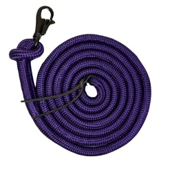 New KENSINGTON ™ 25' Clinician Training Lead