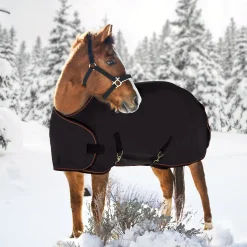 Discount KENSINGTON ™ Adjustable Weanling Turnout Blanket