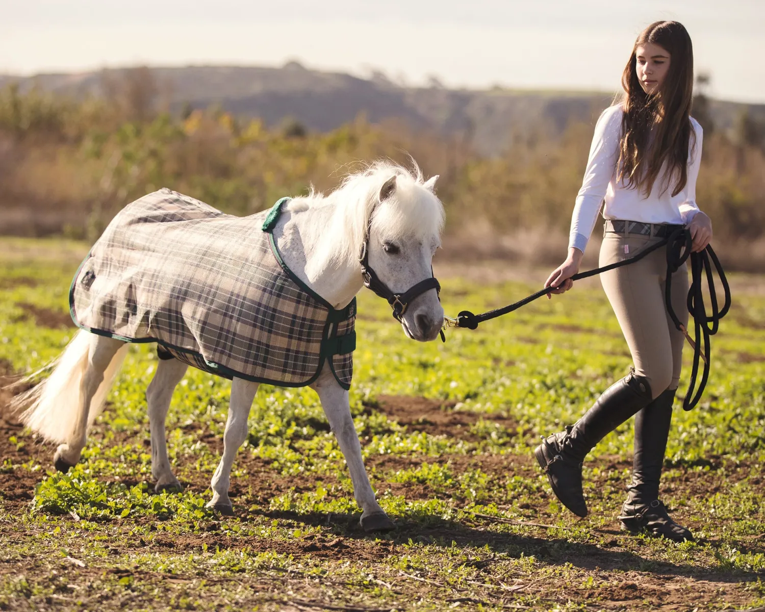 KENSINGTON ™ Mini Signature Textilene® Protective Fly Sheet