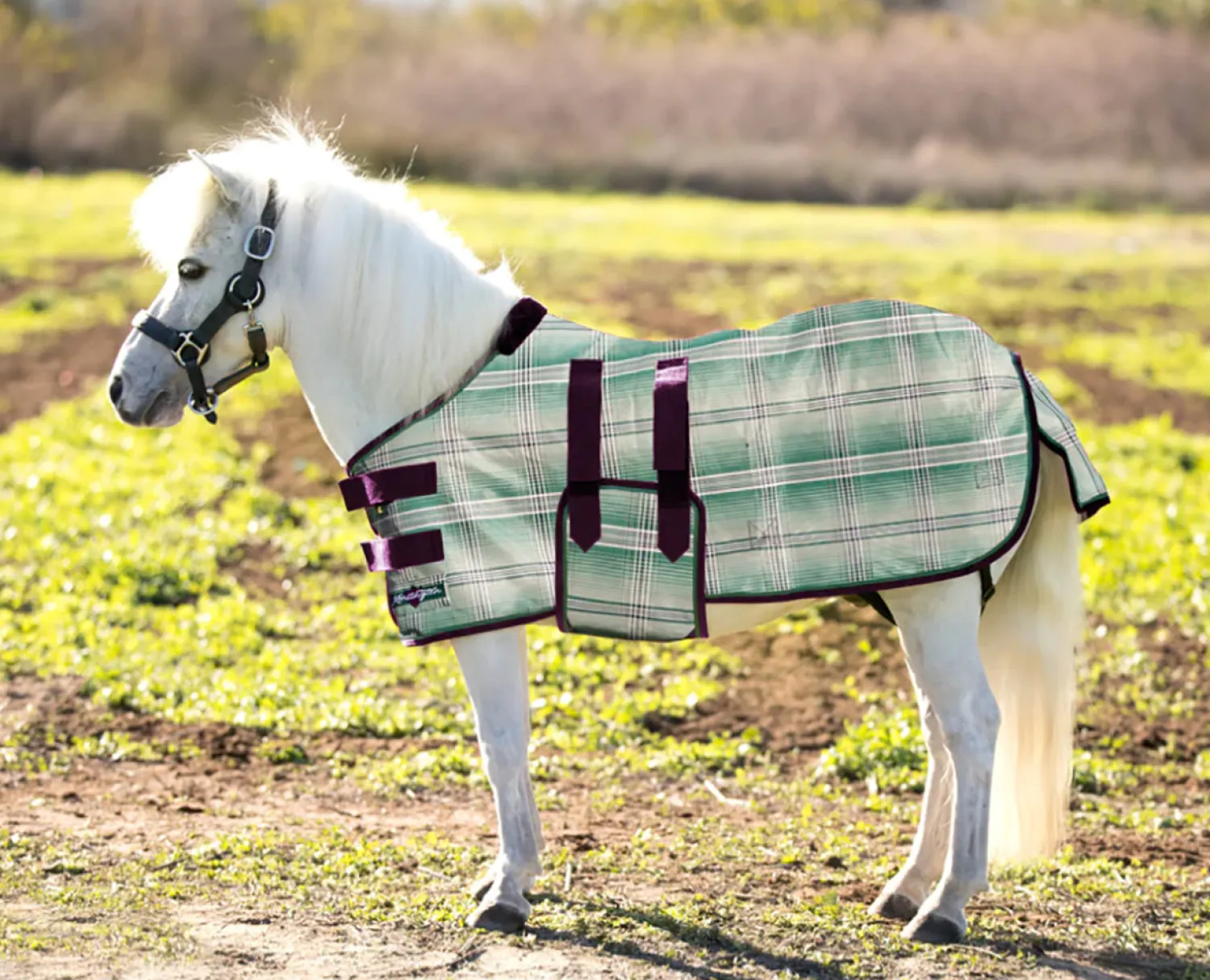 KENSINGTON ™ Mini Signature Textilene® Protective Fly Sheet