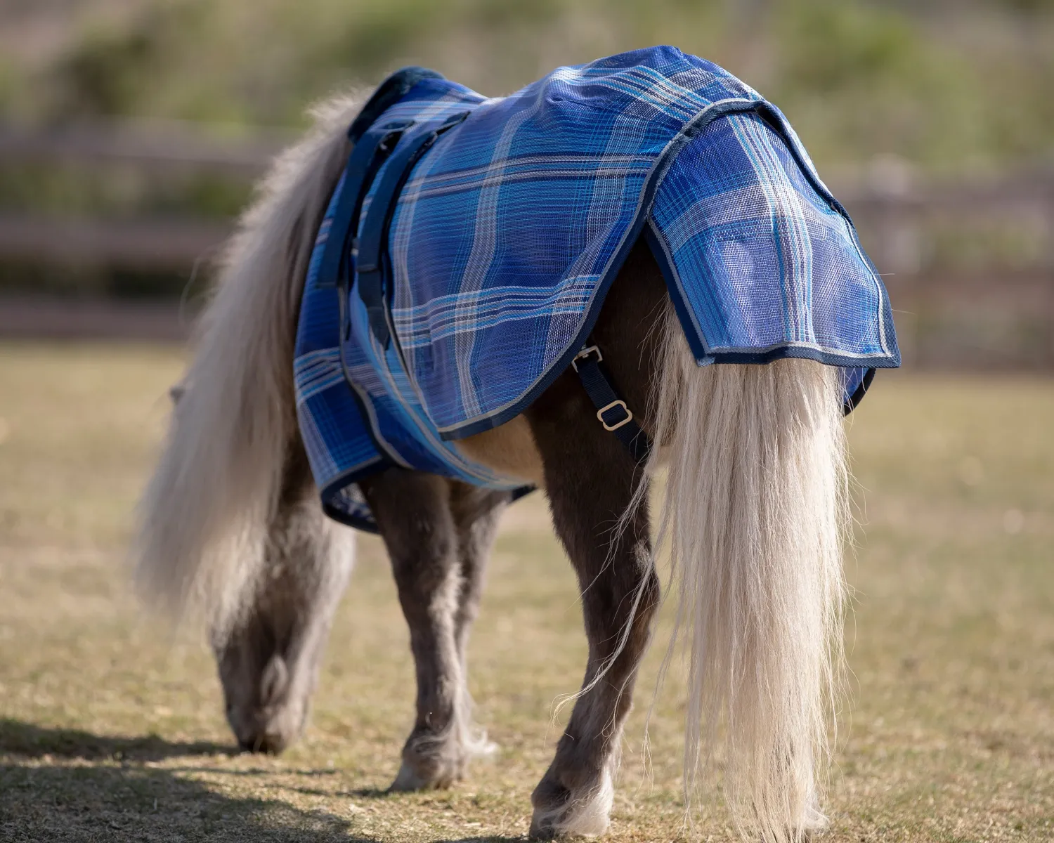 KENSINGTON ™ Mini Signature Textilene® Protective Fly Sheet