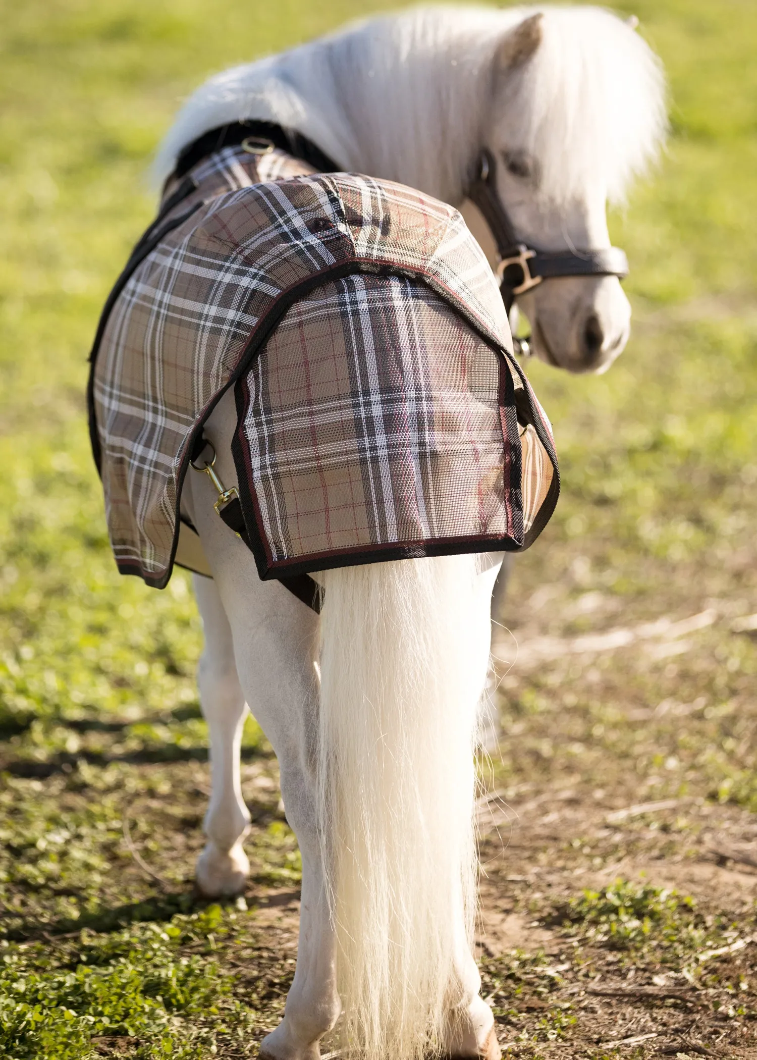 KENSINGTON ™ Mini Signature Textilene® Protective Fly Sheet