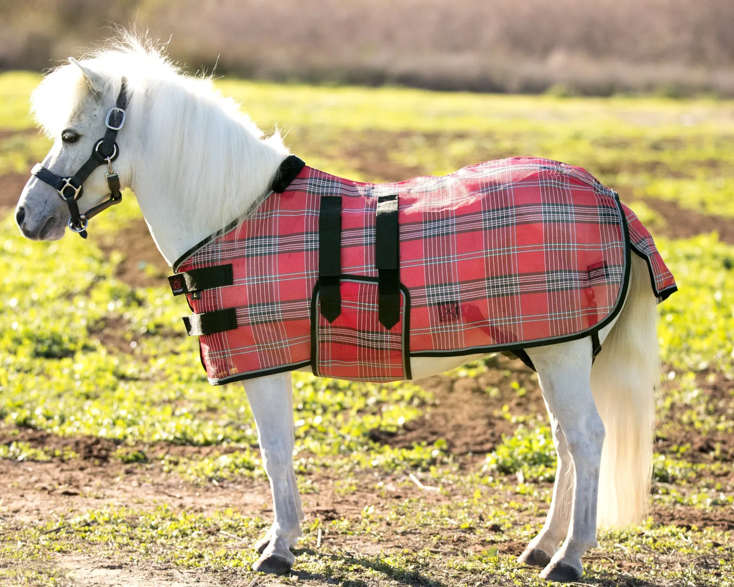 KENSINGTON ™ Mini Signature Textilene® Protective Fly Sheet