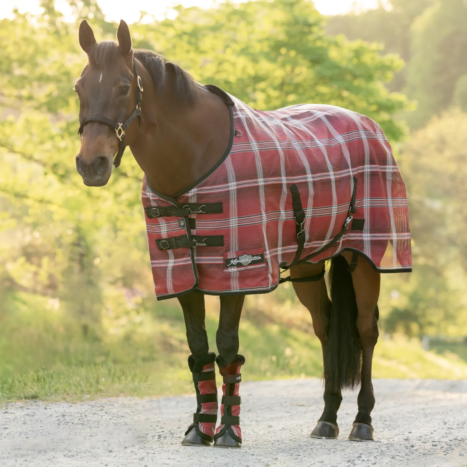 Clearance KENSINGTON ™ Pony Protective Sheet SureFit®