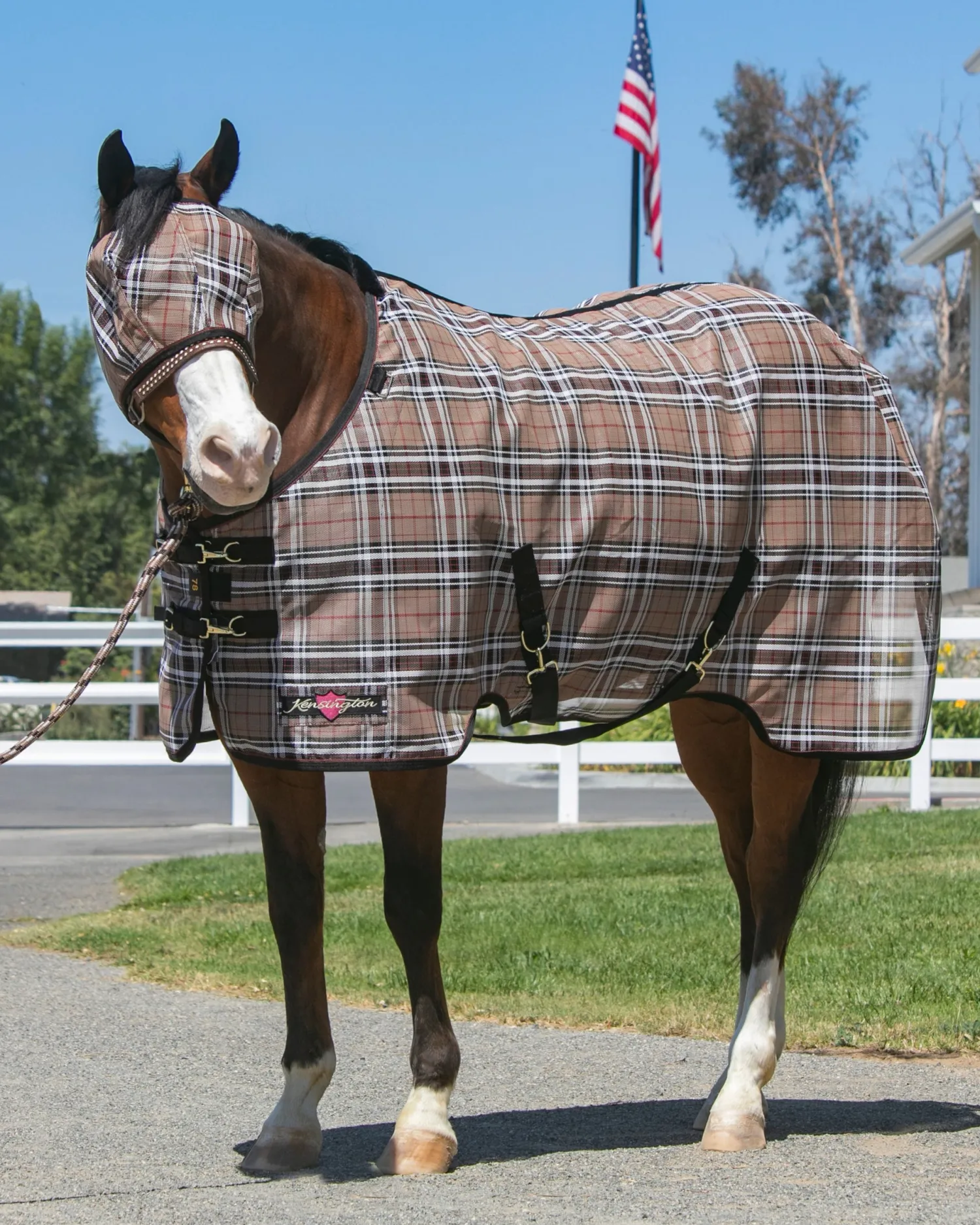 Clearance KENSINGTON ™ Pony Protective Sheet SureFit®
