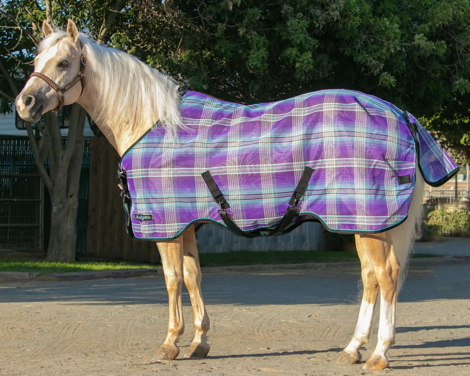 Clearance KENSINGTON ™ Pony Protective Sheet SureFit®