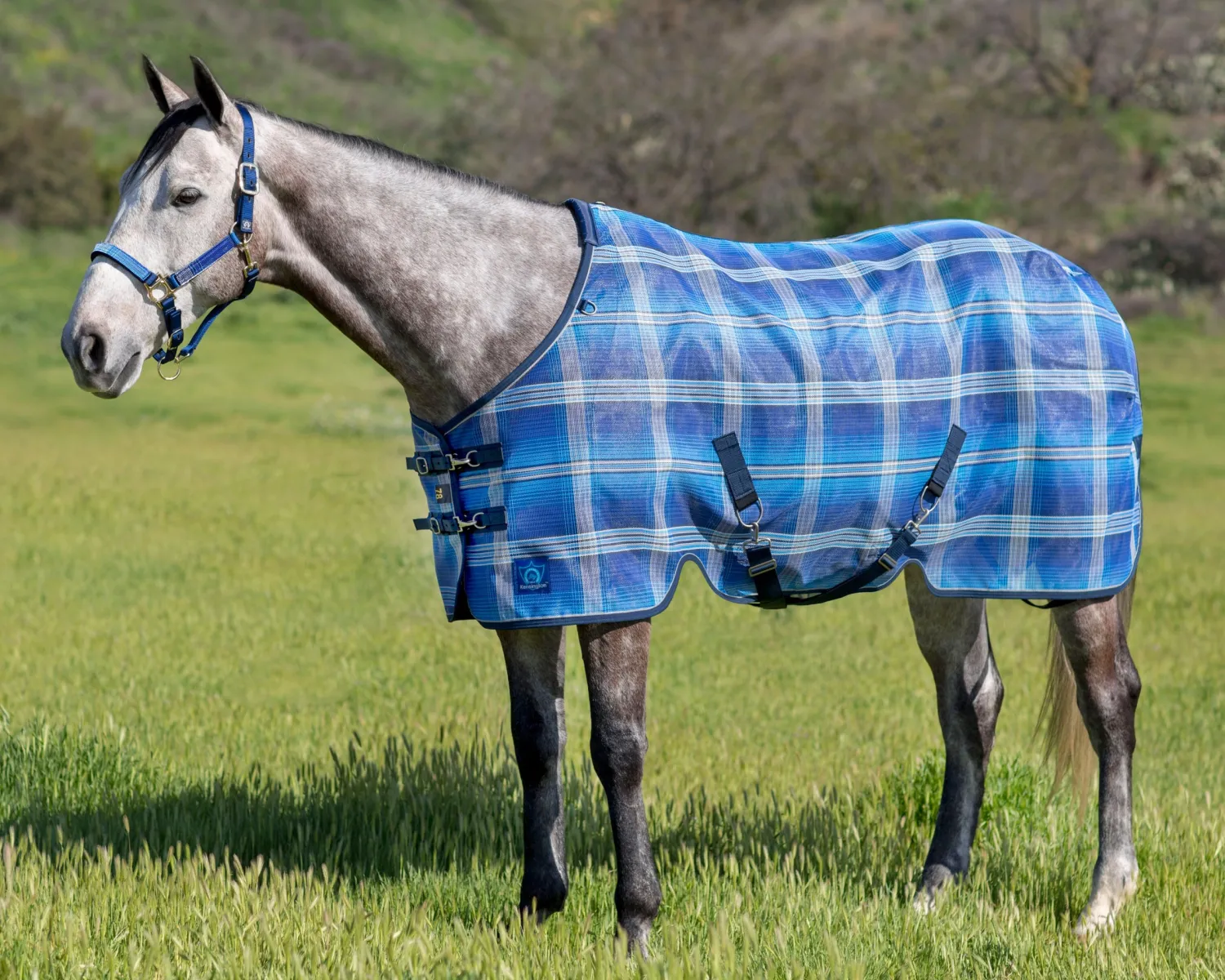 Clearance KENSINGTON ™ Pony Protective Sheet SureFit®