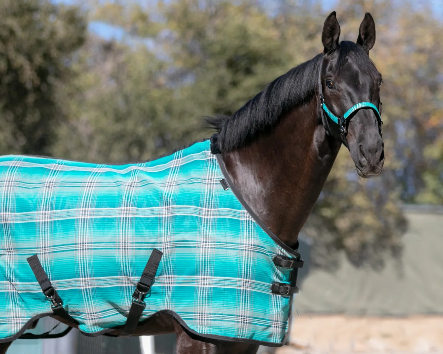 Clearance KENSINGTON ™ Pony Protective Sheet SureFit®