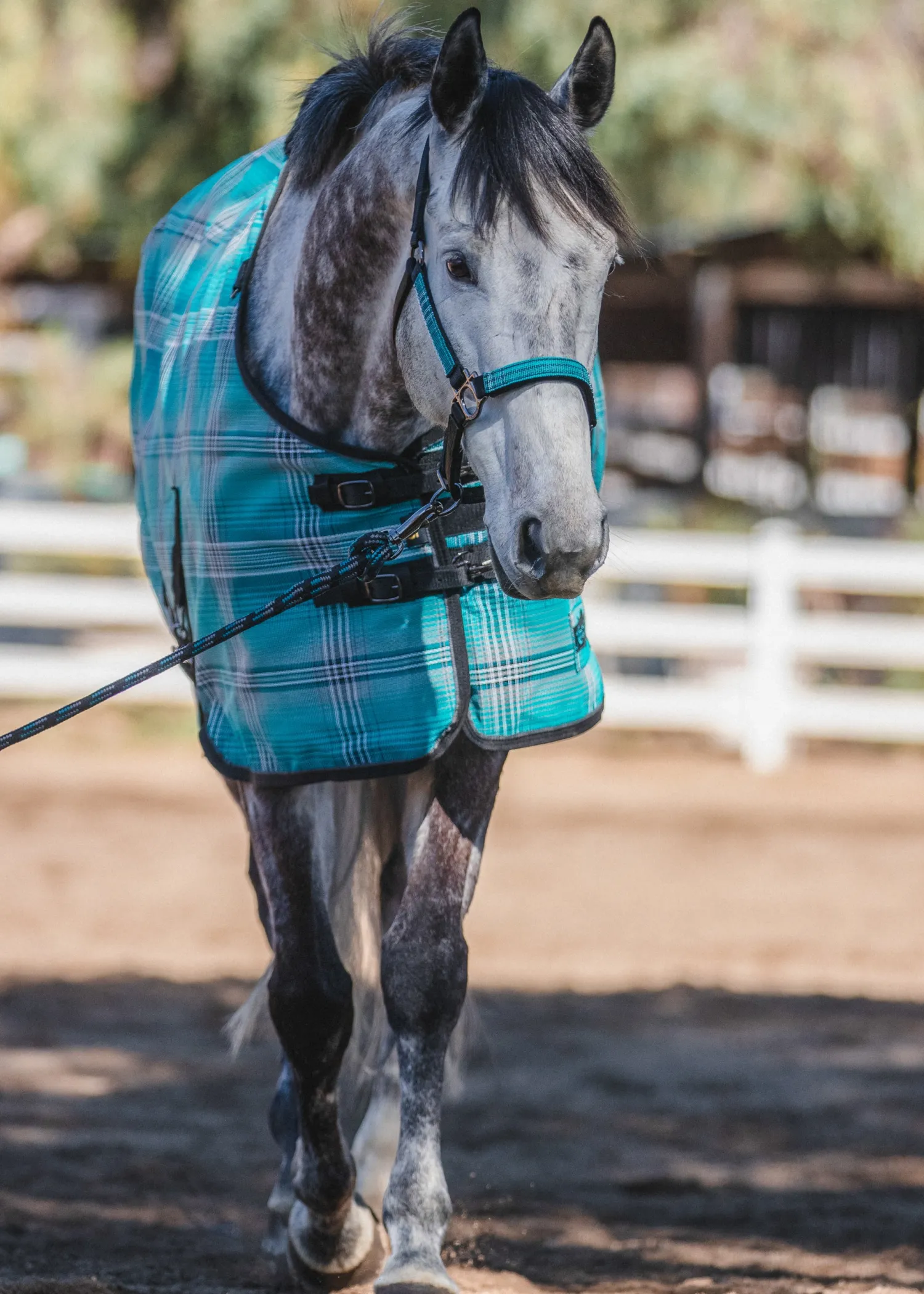 Clearance KENSINGTON ™ Pony Protective Sheet SureFit®