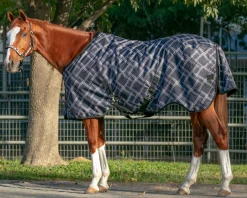 Sale KENSINGTON ™ Pony Signature Medium Weight Turnout Blanket