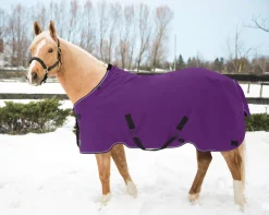 Clearance KENSINGTON ™ Pony Signature Heavyweight Turnout Blanket