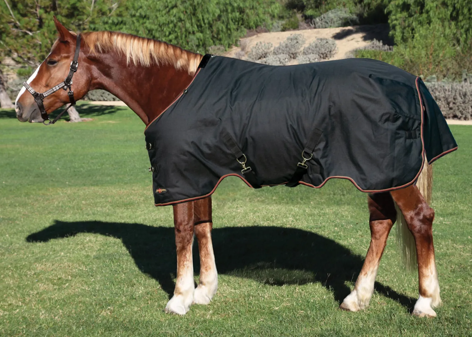 New KENSINGTON ™ Pony Signature Lightweight Turnout Blanket