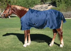 New KENSINGTON ™ Pony Signature Lightweight Turnout Blanket