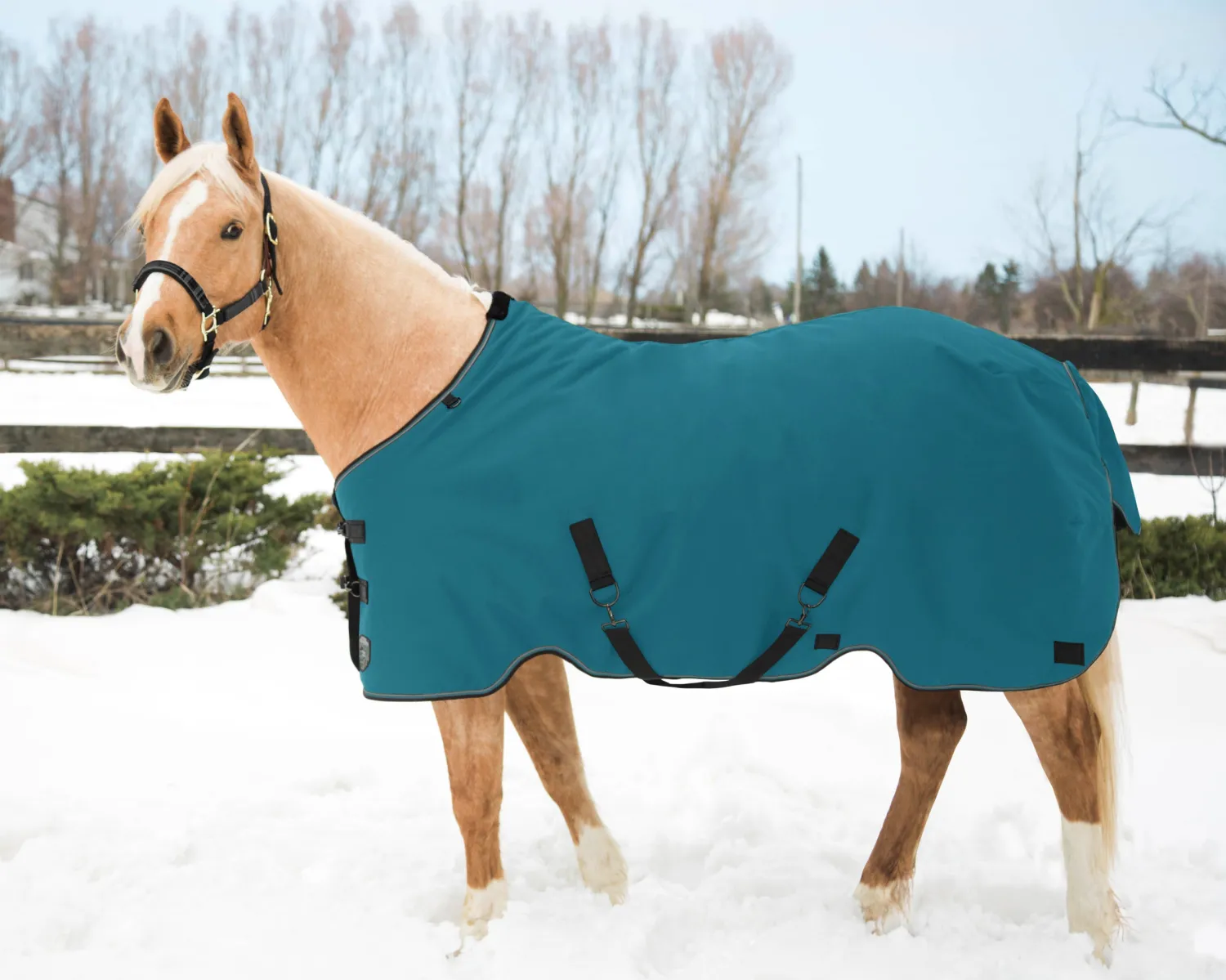 New KENSINGTON ™ Pony Signature Lightweight Turnout Blanket