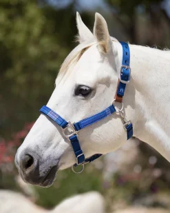 Clearance KENSINGTON ™ Premium Breakaway Halter