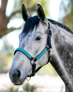 Clearance KENSINGTON ™ Premium Breakaway Halter