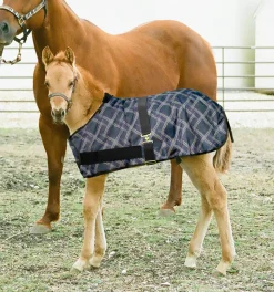 Online KENSINGTON ™ Signature Adjustable Large Foal Turnout