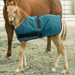 Online KENSINGTON ™ Signature Adjustable Large Foal Turnout