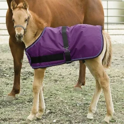 Online KENSINGTON ™ Signature Adjustable Large Foal Turnout